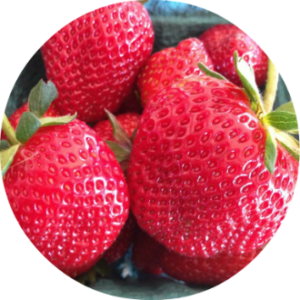 Pell Farm's delicious strawberries
