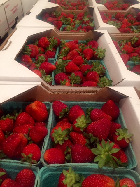 Pell Farms Boxed Strawberries